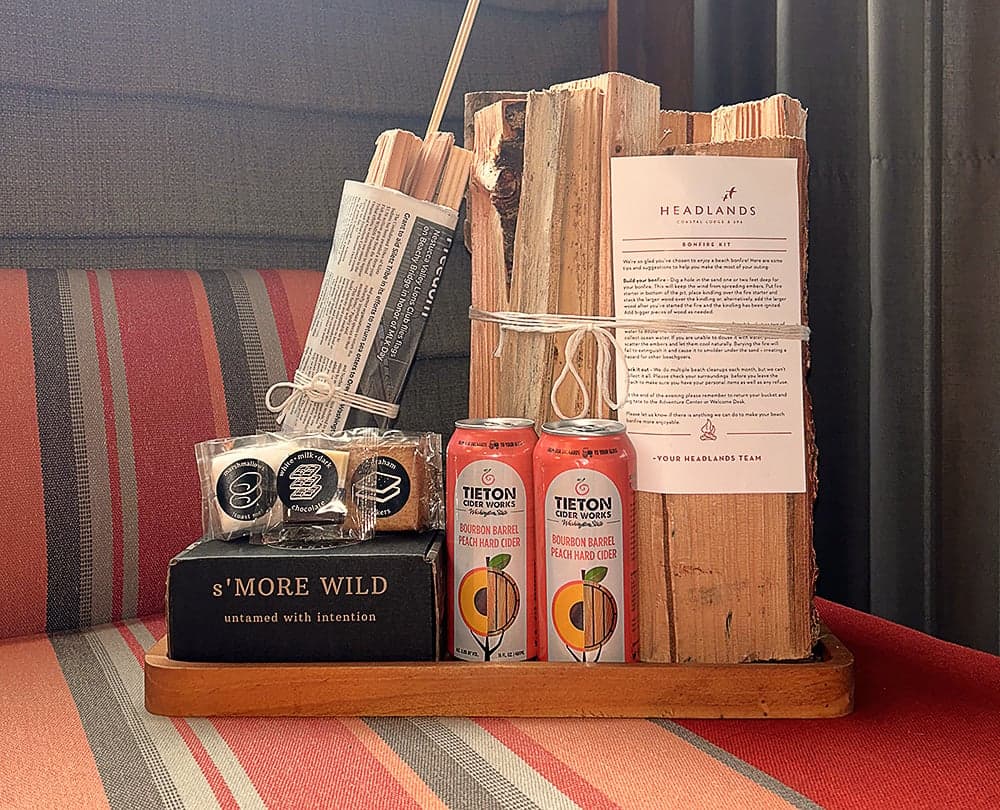 Bonfire And Smores Kit