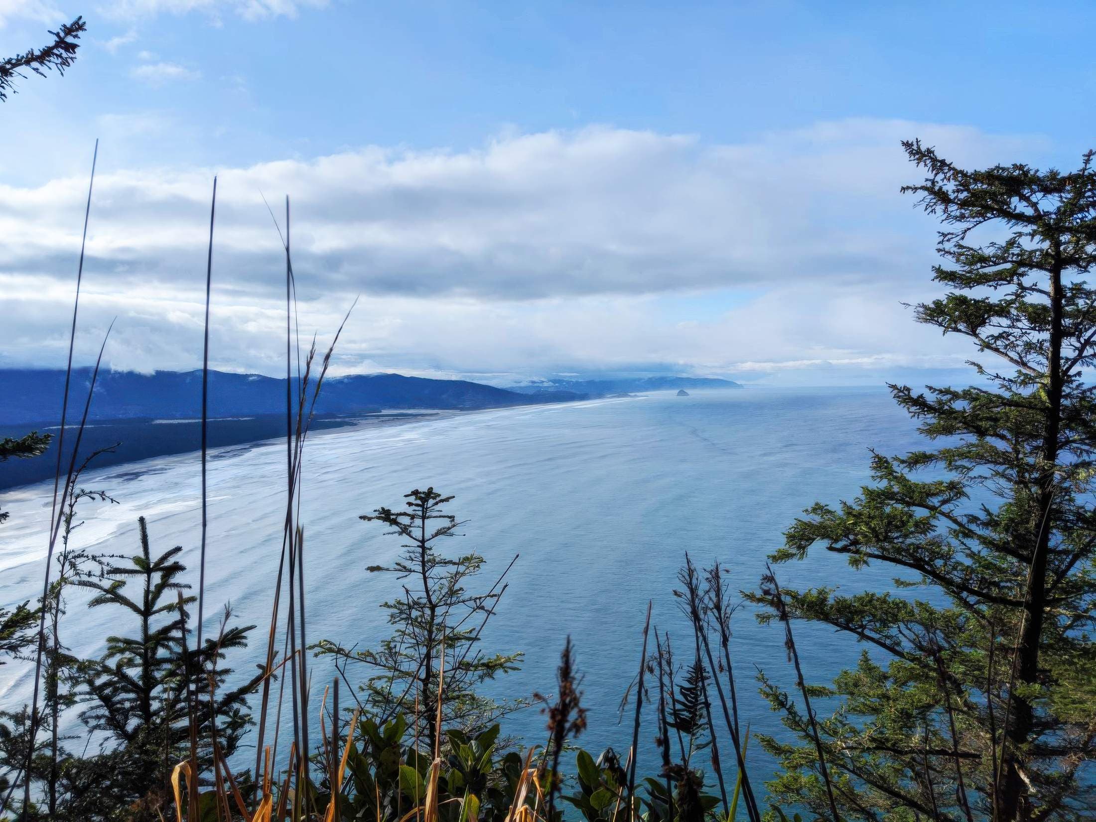 Cape Trail with a view of the vast ocean
