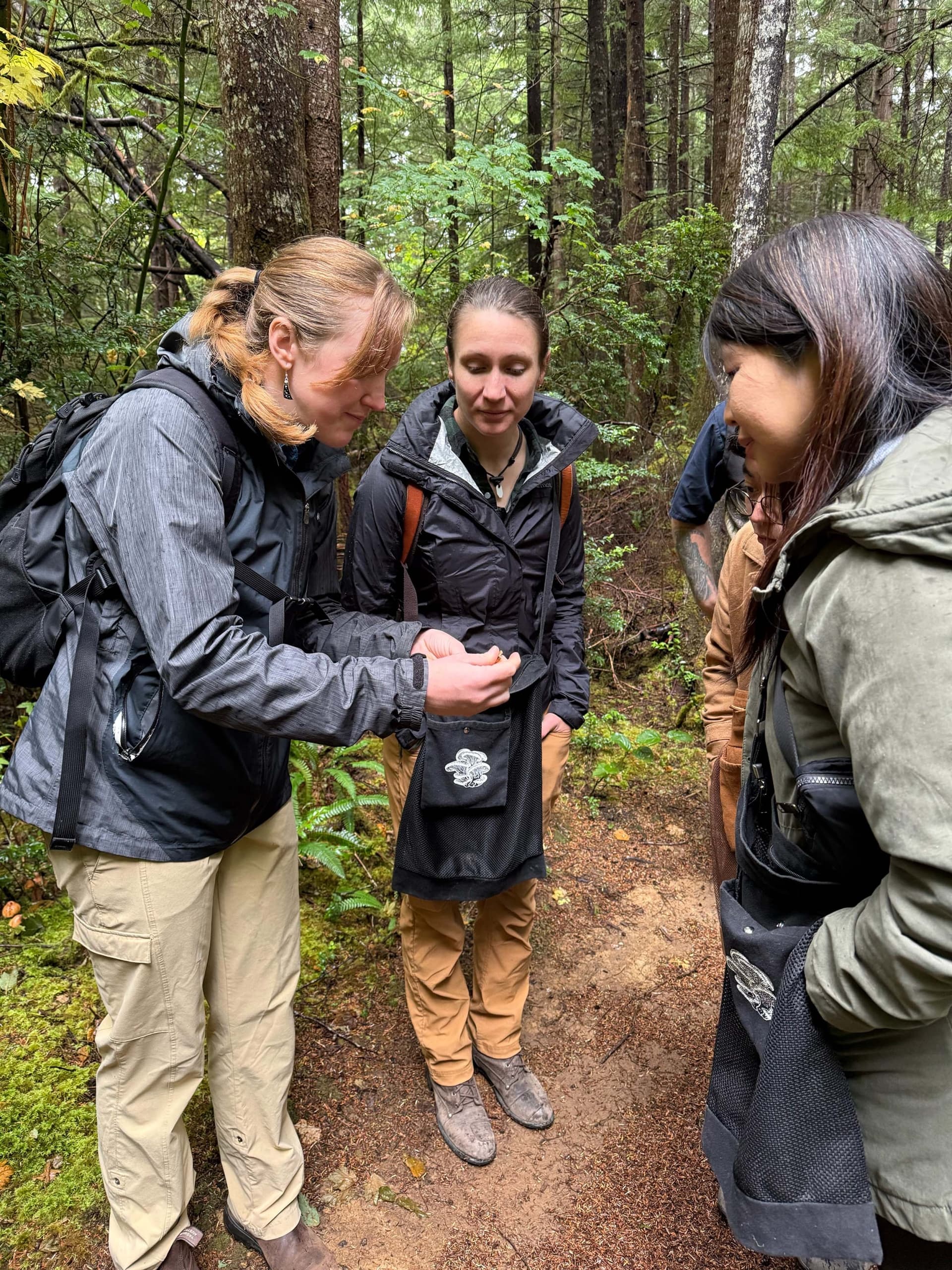 4 people Mushroom Foraging