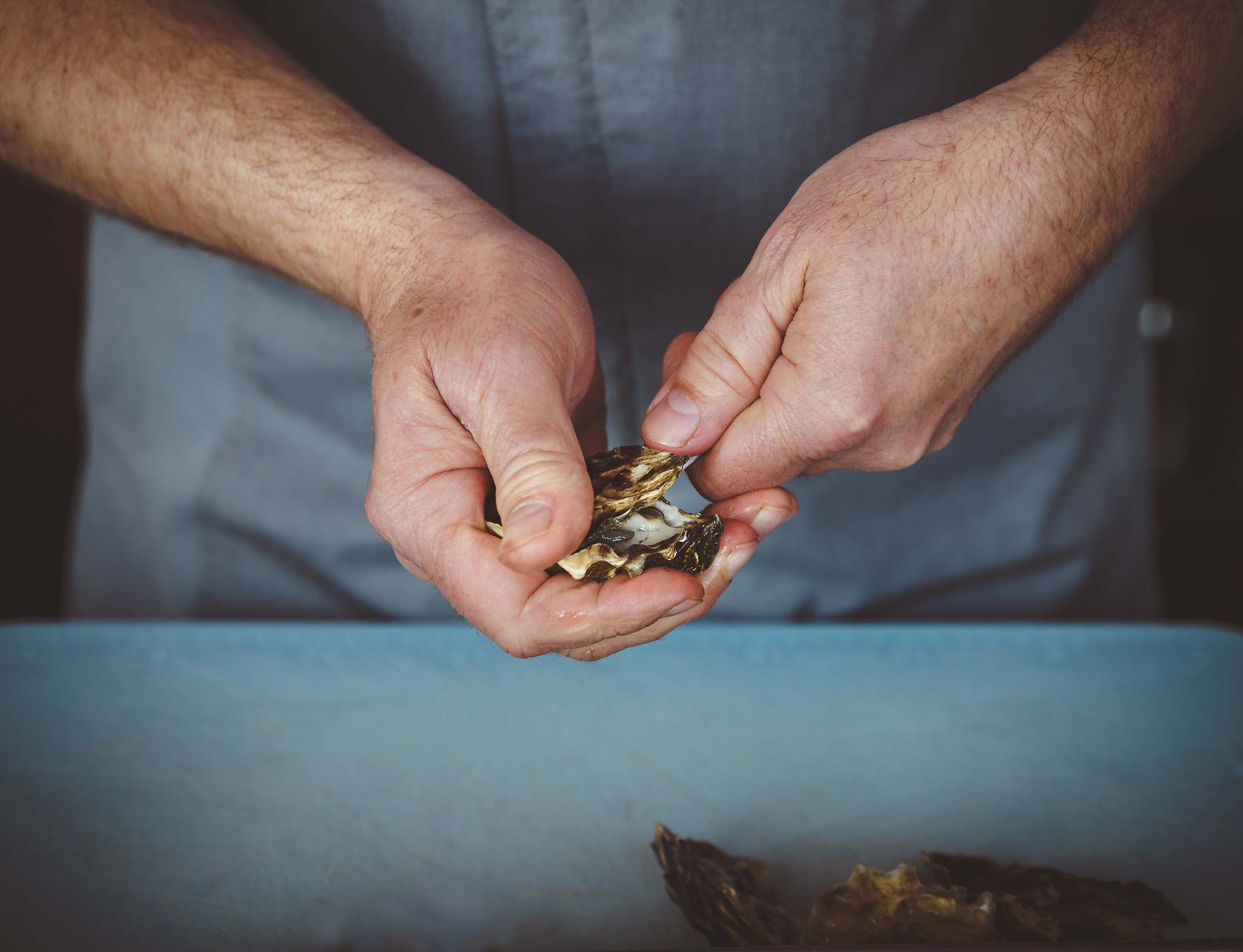 A man shucking an oyster