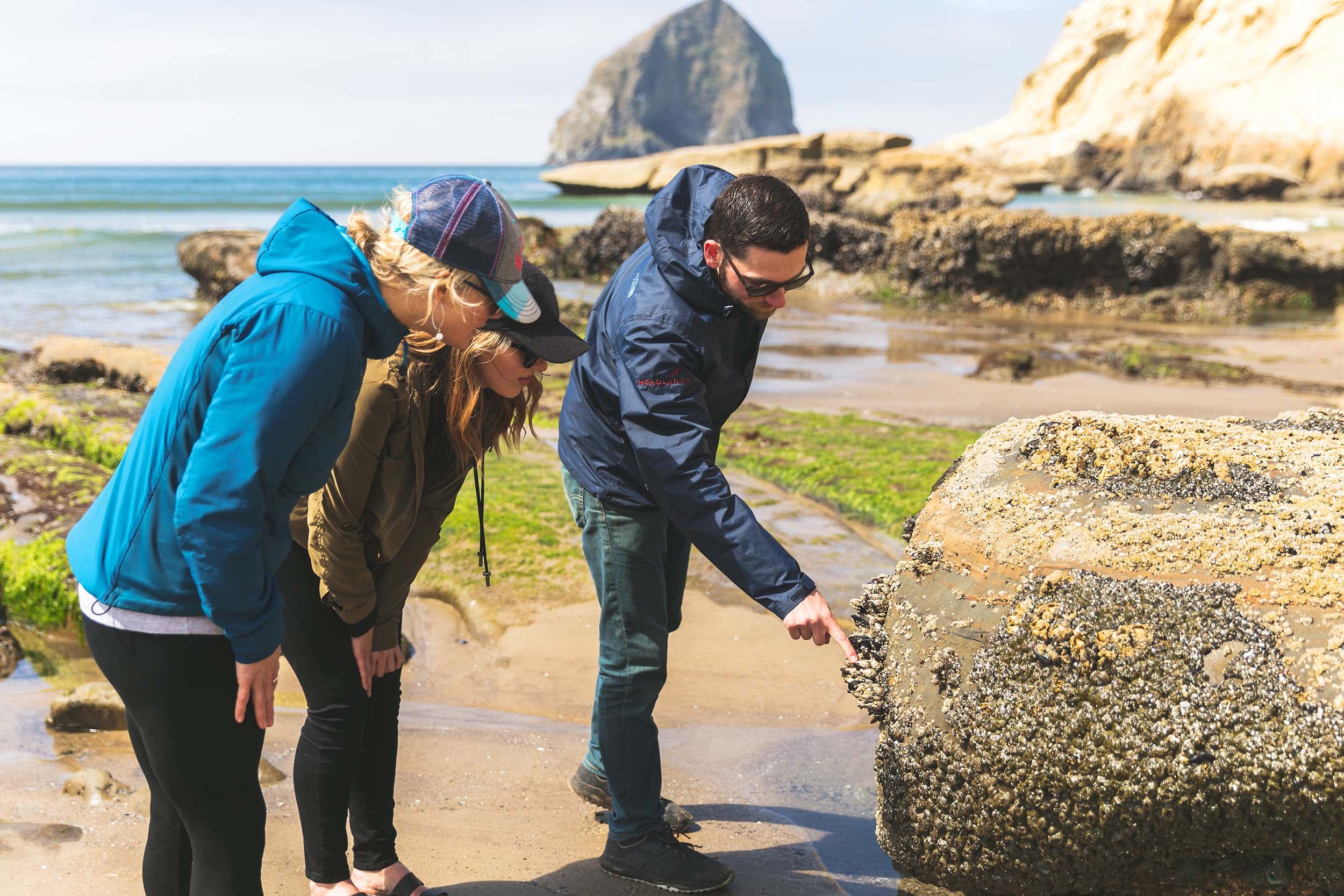 3 people looking at barnacles on a large rock near Headlands