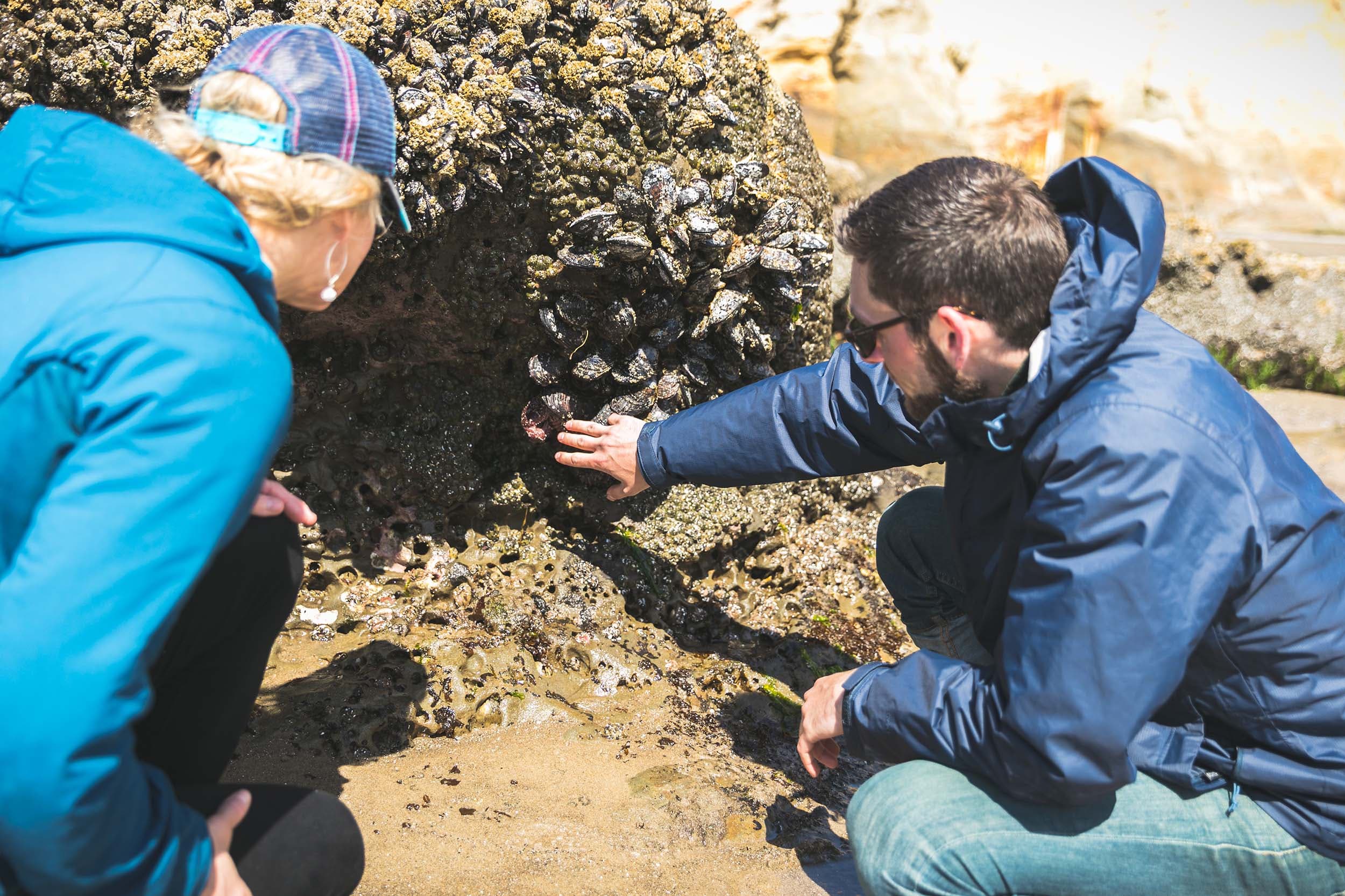 People exploring the tide pools at Cape Kiwanda