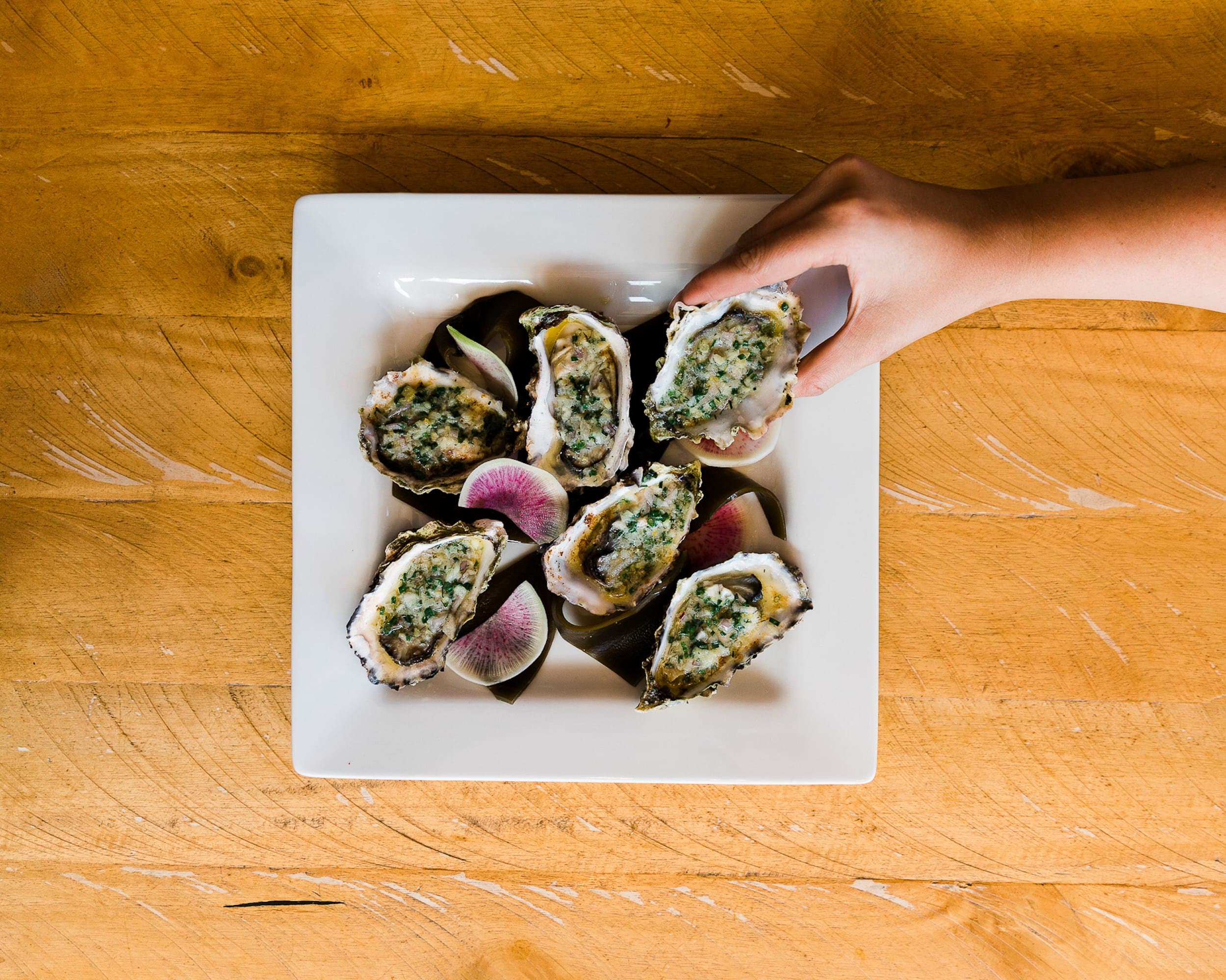 A plate of 6 large oysters with candy cane radish as garnish