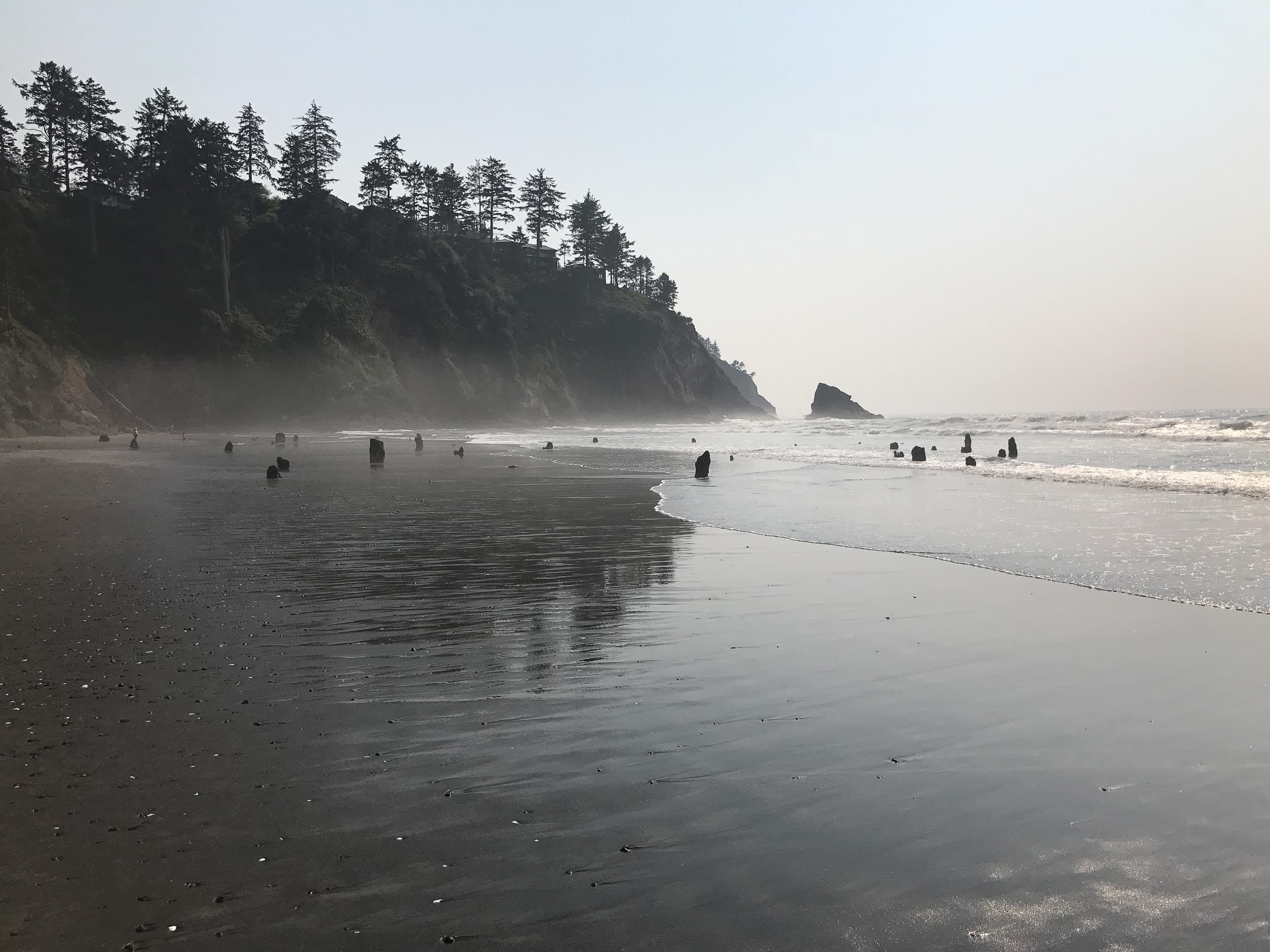 Image of the Oregon Beach