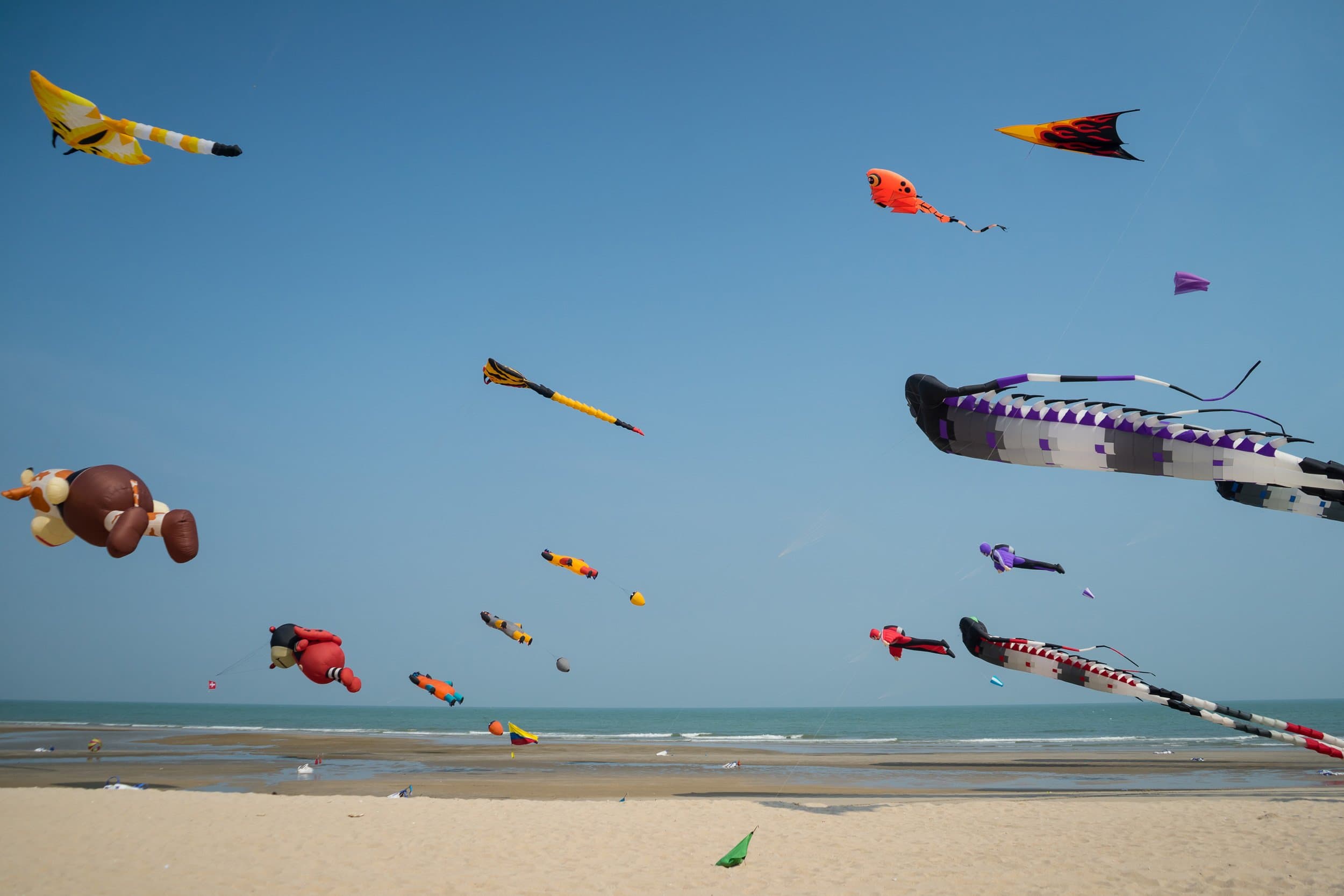 Kites from the Lincoln City Fall Kite Festival