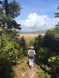 whalen island hike
