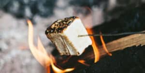 bonfire with house-made marshmallows