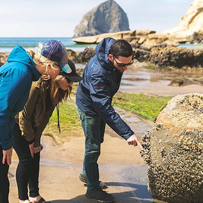 Pacific City Beach Tidepools